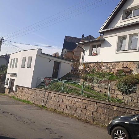 Ubytovani U Nadii Zelezny Brod Esterno foto