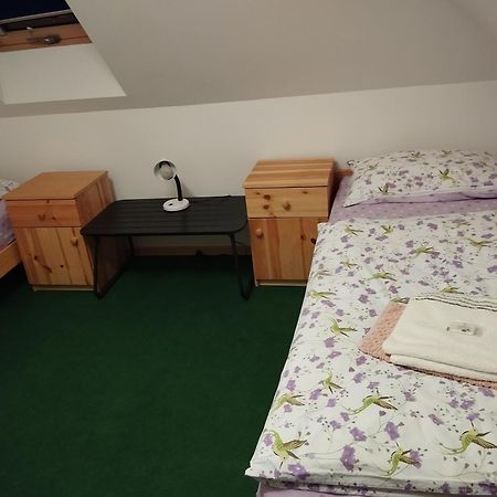 Ubytovani U Nadii Zelezny Brod Esterno foto
