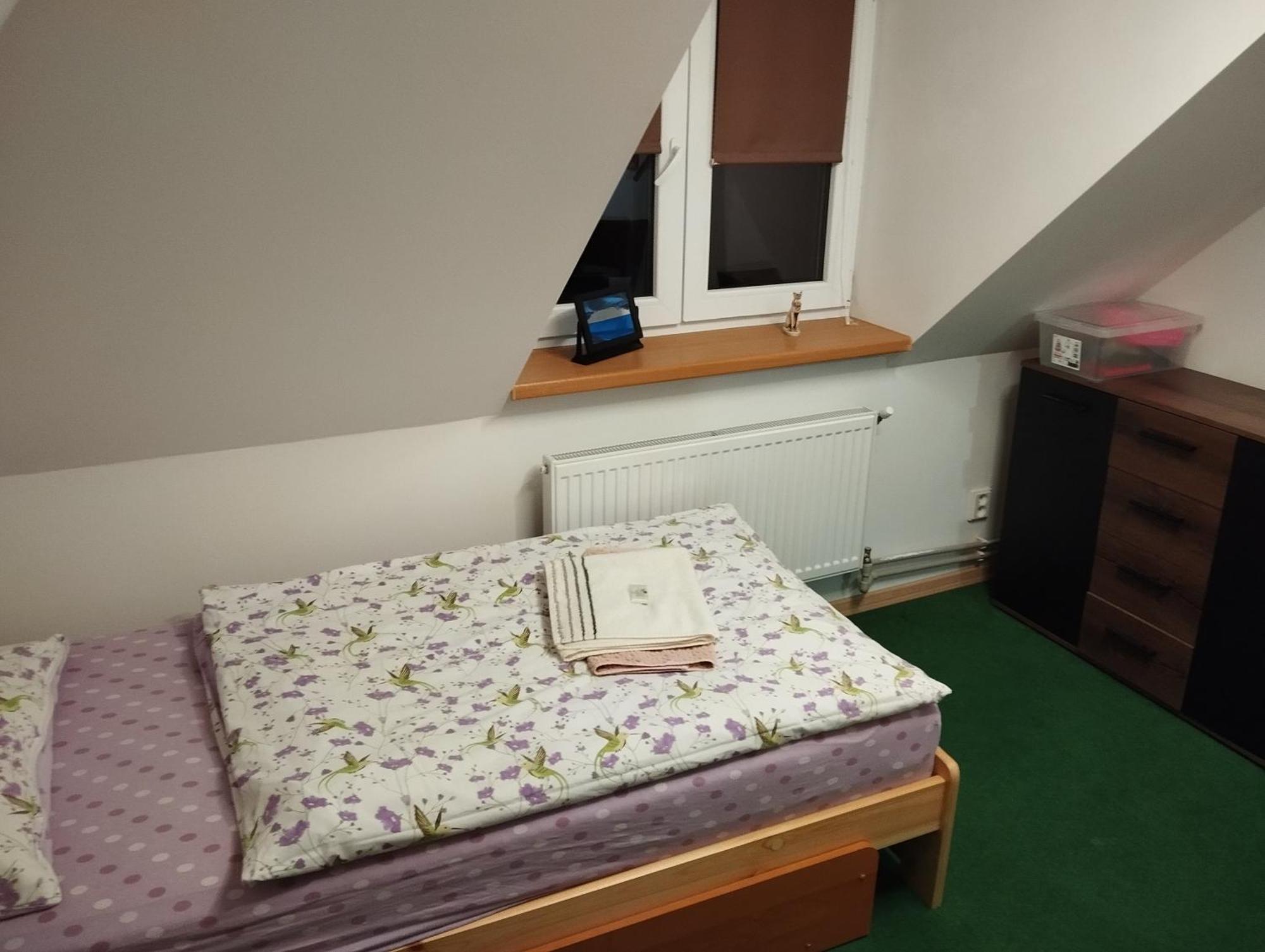 Ubytovani U Nadii Zelezny Brod Esterno foto