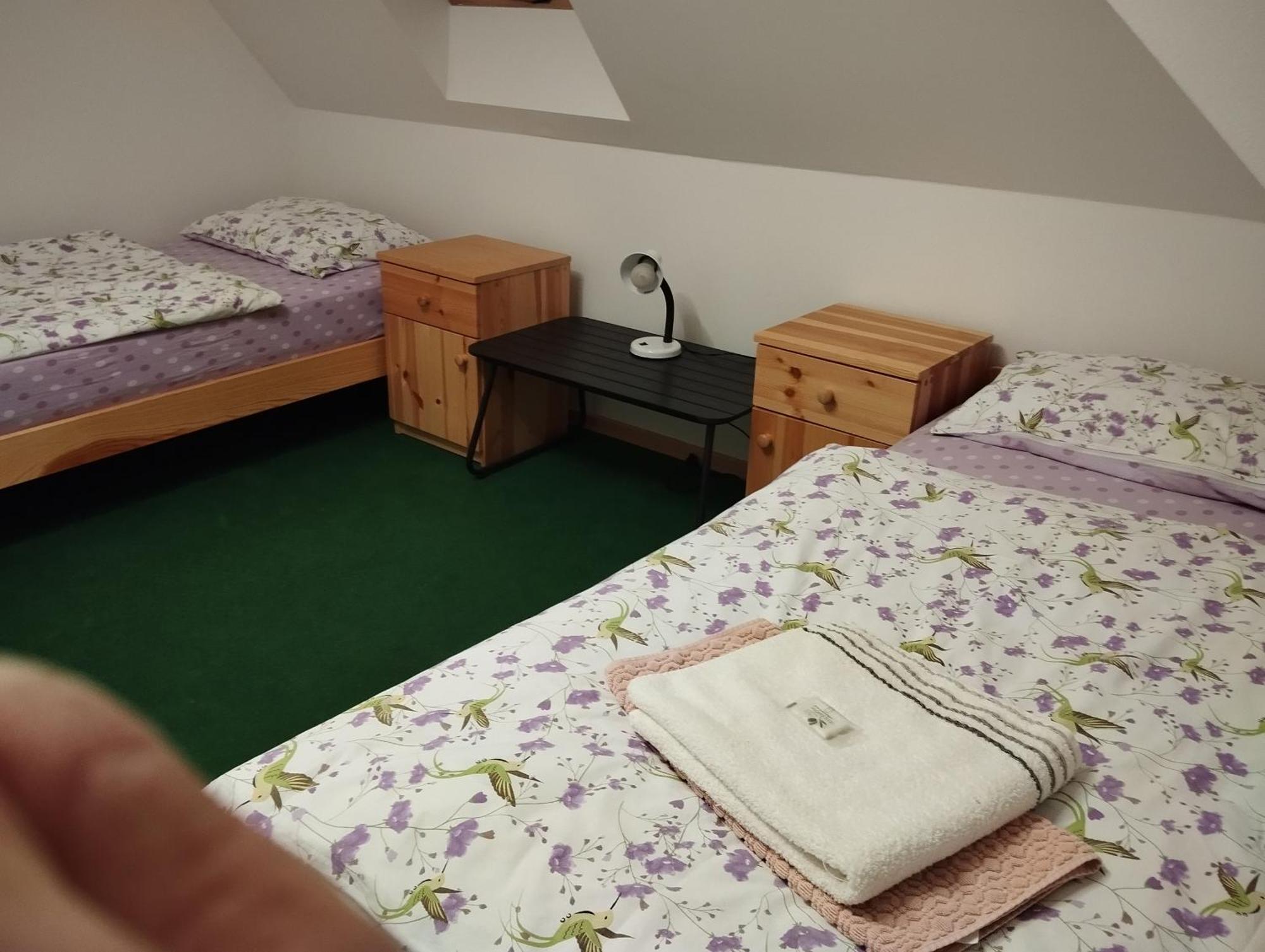 Ubytovani U Nadii Zelezny Brod Esterno foto